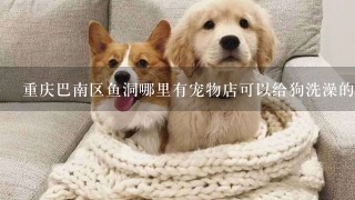 重庆巴南区鱼洞哪里有宠物店可以给狗洗澡的？我家金毛7个月，大概洗一次多少钱呢？