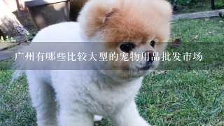 广州有哪些比较大型的宠物用品批发市场