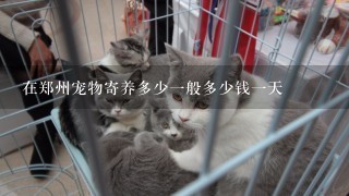 在郑州宠物寄养多少一般多少钱一天