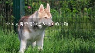 外国人携带宠物进入中国的问题