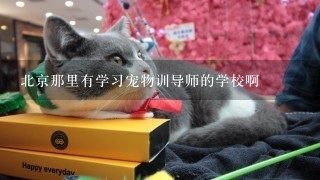 北京那里有学习宠物训导师的学校啊
