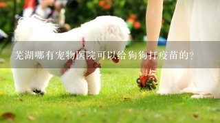 芜湖哪有宠物医院可以给狗狗打疫苗的？