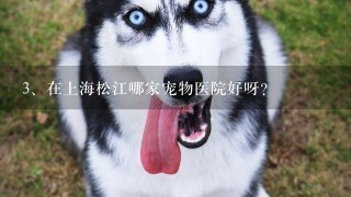 在上海松江哪家宠物医院好呀？