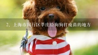 上海市闵行区莘庄给狗狗打疫苗的地方