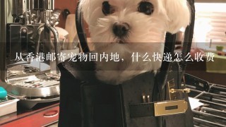 从香港邮寄宠物回内地，什么快递怎么收费
