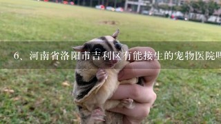 河南省洛阳市吉利区有能接生的宠物医院吗？