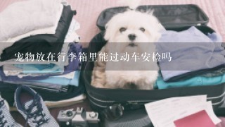 宠物放在行李箱里能过动车安检吗