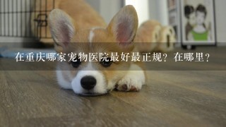 在重庆哪家宠物医院最好最正规？在哪里？