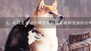 请问北京地区哪里有给狗看病和美容的店吗?请告知,最