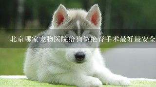 北京哪家宠物医院给狗做绝育手术最好最安全