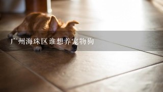 广州海珠区谁想养宠物狗