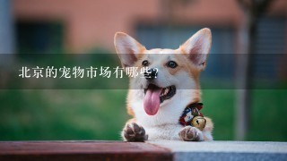 北京的宠物市场有哪些？
