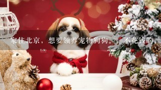 家住北京，想要领养宠物狗狗。不花钱的。去哪里找