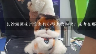长沙湘潭株州谁家有小型宠物狗卖？或者在哪可以领养？