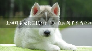 上海哪家宠物医院有作自家血封闭手术治疗狗狗的角膜溃疡？