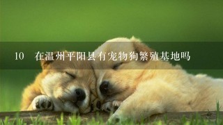 10 在温州平阳县有宠物狗繁殖基地吗