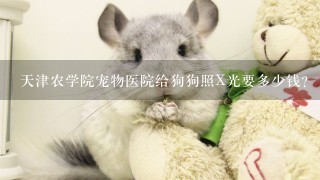 天津农学院宠物医院给狗狗照X光要多少钱？