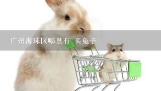 广州海珠区哪里有 买兔子