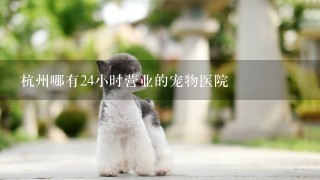 杭州哪有24小时营业的宠物医院