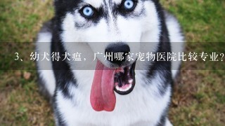 幼犬得犬瘟，广州哪家宠物医院比较专业？