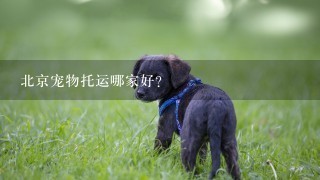 北京宠物托运哪家好？