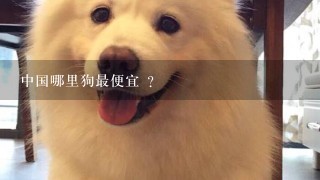 中国哪里狗最便宜 ？
