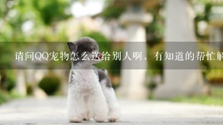 请问QQ宠物怎么送给别人啊，有知道的帮忙解决下！谢