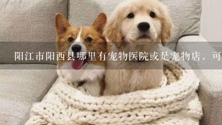 阳江市阳西县哪里有宠物医院或是宠物店，可以帮狗狗打疫苗的地方
