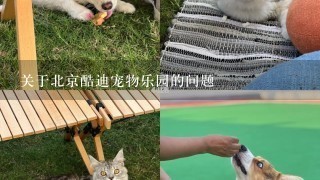 关于北京酷迪宠物乐园的问题