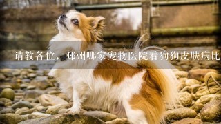 请教各位，邳州哪家宠物医院看狗狗皮肤病比较好的？