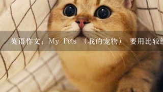 英语作文：My Pets （我的宠物） 要用比较级的词语