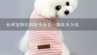 杭州宠物店回收小金毛一般收多少钱