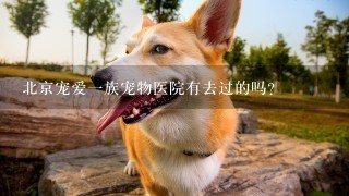 北京宠爱一族宠物医院有去过的吗？