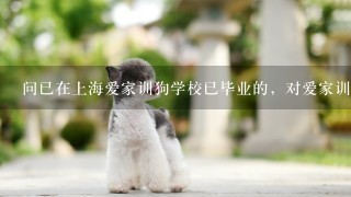 问已在上海爱家训狗学校已毕业的，对爱家训狗学校评价如何？