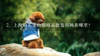 上海购买宠物跟用品批发市场在哪里？