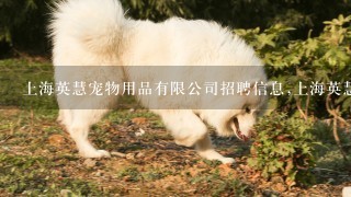 上海英慧宠物用品有限公司招聘信息,上海英慧宠物用