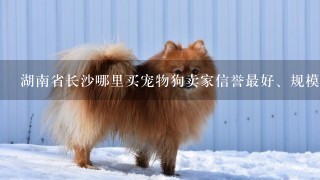 湖南省长沙哪里买宠物狗卖家信誉最好、规模最大?