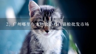 广州哪里有宠物食品进口猫粮批发市场