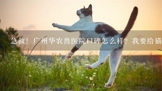 急救！广州华农兽医院口碑怎么样？我要给猫猫绝育！