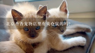 北京香香宠物店里有卖仓鼠的吗？