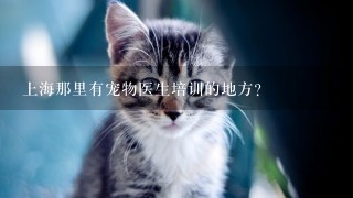 上海那里有宠物医生培训的地方？
