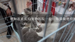 想知道重庆的宠物医院一般给母猫做绝育的手术费用大