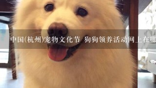 中国(杭州)宠物文化节 狗狗领养活动网上在哪看狗狗?
