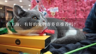 在上海，有好的宠物寄养店推荐吗？
