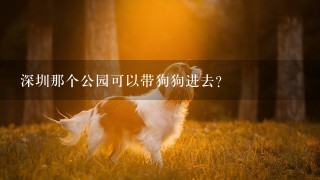 深圳那个公园可以带狗狗进去?