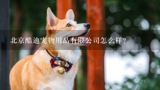 北京酷迪宠物用品有限公司怎么样？