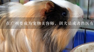 在广州要成为宠物美容师，训犬员或者兽医有什么途径？