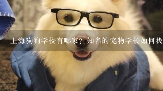 上海狗狗学校有哪家？知名的宠物学校如何找寻啊？