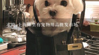 求助:上海哪里有宠物用品批发市场