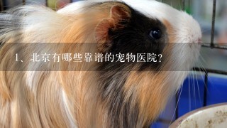 北京有哪些靠谱的宠物医院？